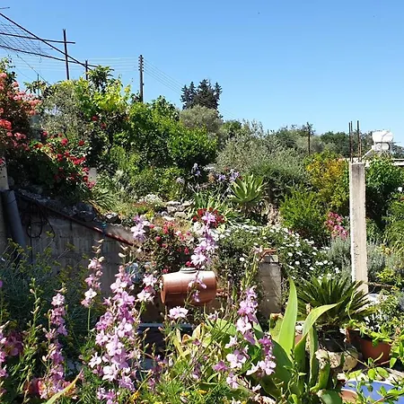 Faith's Stone House Venkovský dům *