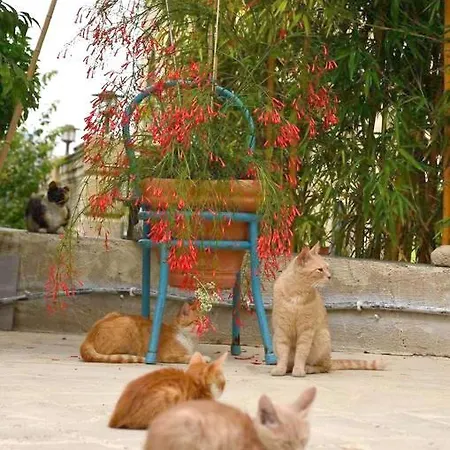 Faith's Stone House *