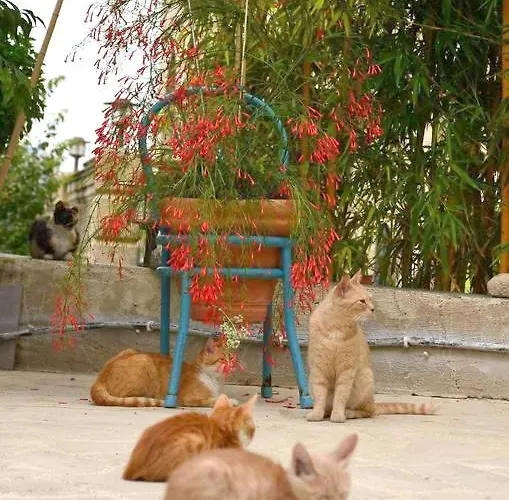 Faith's Stone House *