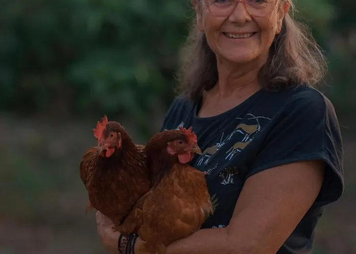 Hétvégi ház Faith's Stone House *
