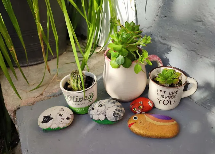 Lantställe Faith's Stone House