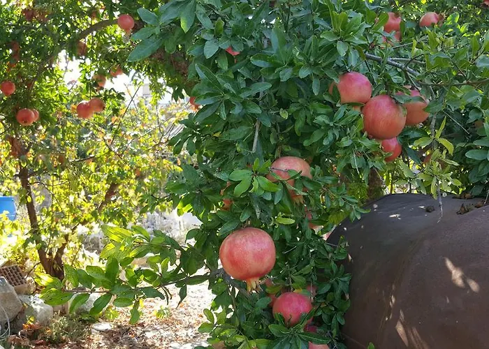 Faith's Stone House Hétvégi ház