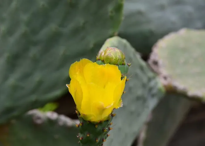 カントリーハウス Faith's Stone House *